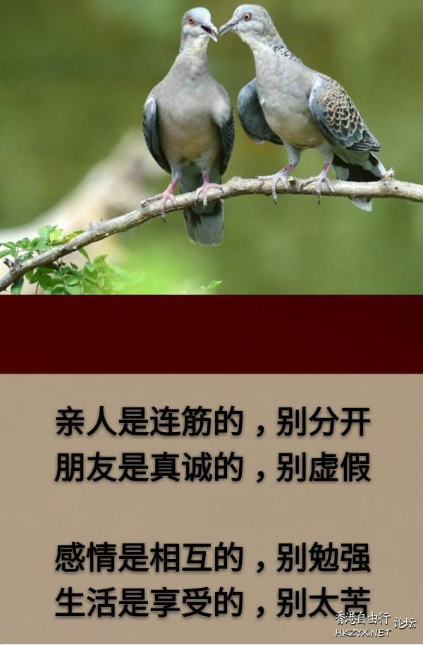 生活是享受的，別太苦  山水花林啓唔人生