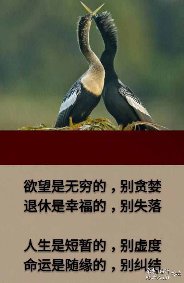 生活是享受的，別太苦  山水花林啓唔人生