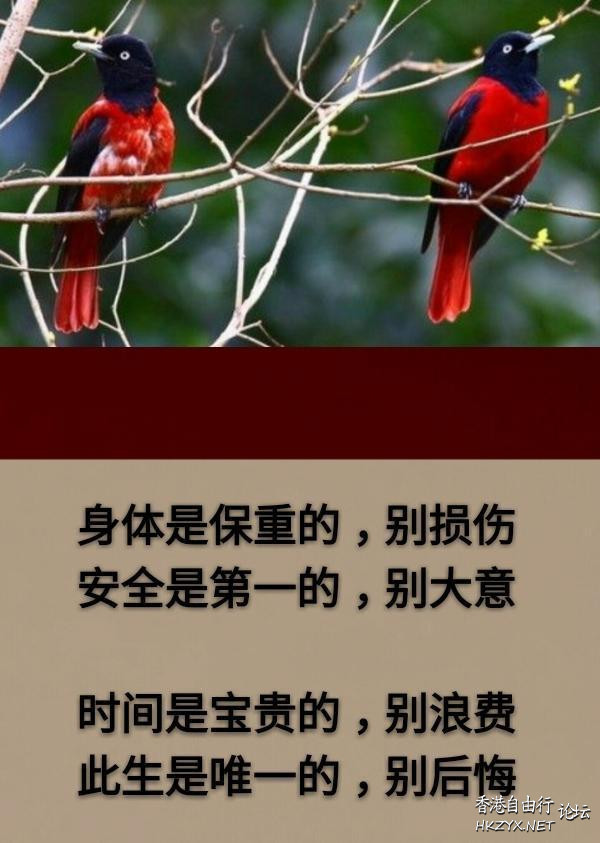 生活是享受的，別太苦  山水花林啓唔人生