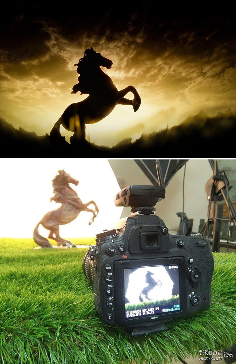 馬的百態  Photography 攝影特區