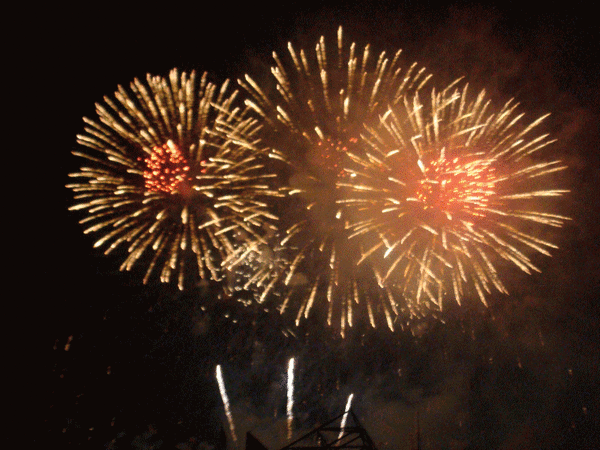   Fireworks 烟花
