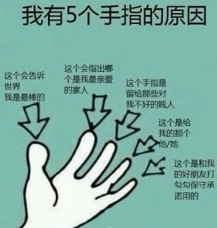 有五个手指头的原因。  專題報導