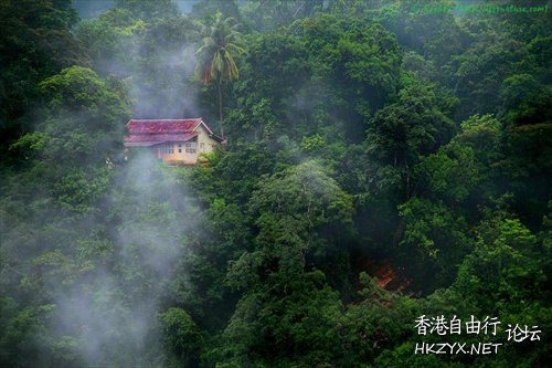 淡定看人生，寧靜做自我  山水花林啓唔人生