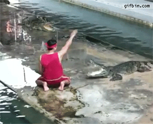   Nonsensical 無厘頭图片
