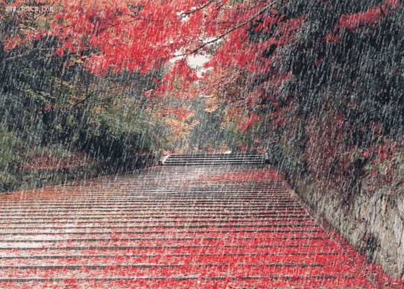 悠悠歲月 ，滾滾洪流  山水花林啓唔人生