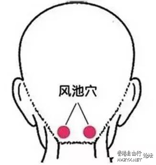 老人肝血退化需要补肝  中藥問症