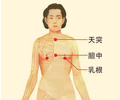老人肝血退化需要补肝  中藥問症