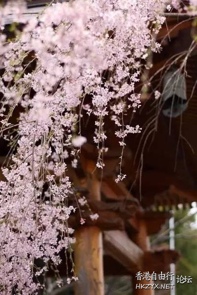 擦身而过 也许永不邂逅  山水花林啓唔人生