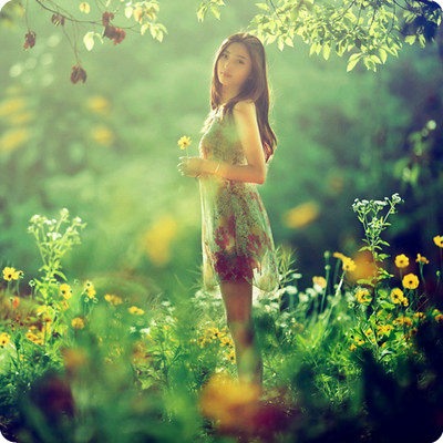   Photography 攝影特區