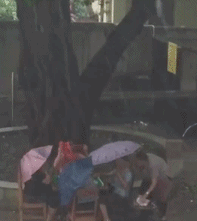 廣東打麻將必勝技巧  舆電腦打麻雀