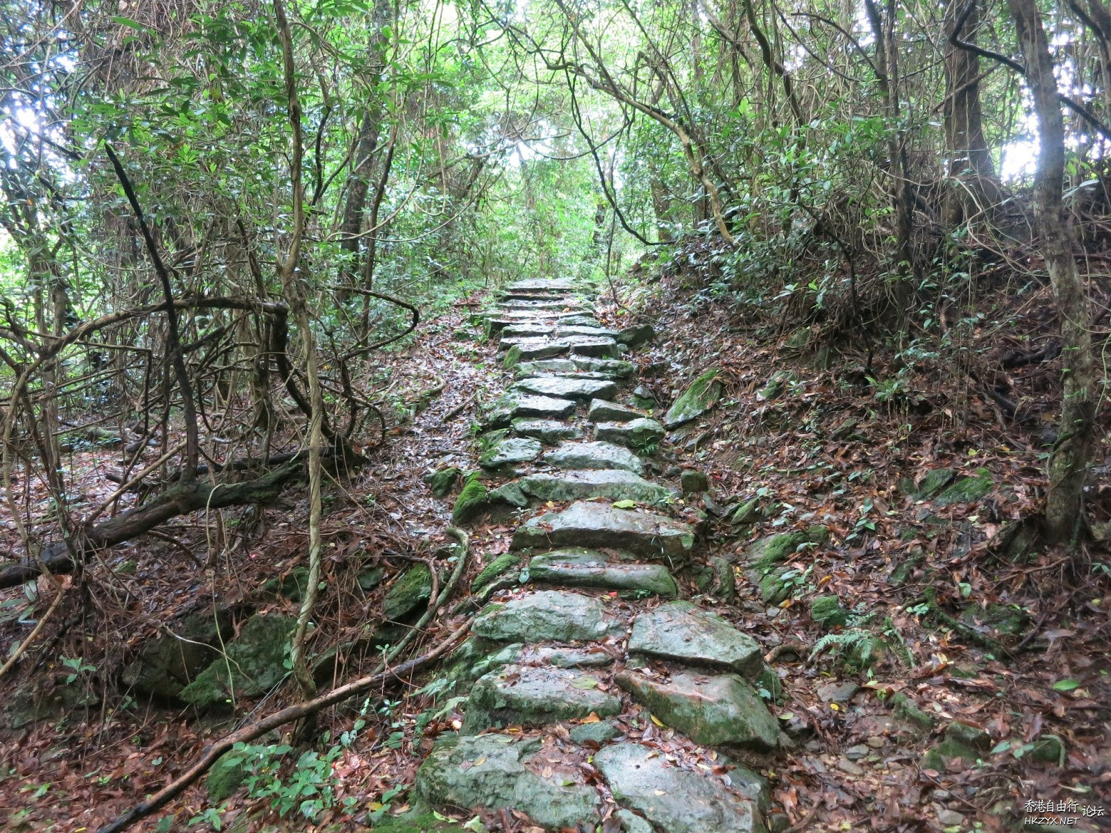 南深古道步逍遙  休閒好去處 + 投稿站