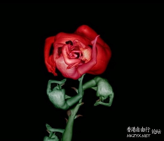   有胆进来斗靓鬥姣