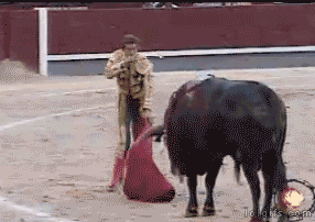 Cow : Come on !   一天三笑 + 解悶處
