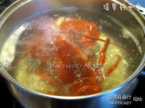人道烹煮龍蝦: 先電擊暈  專題報導