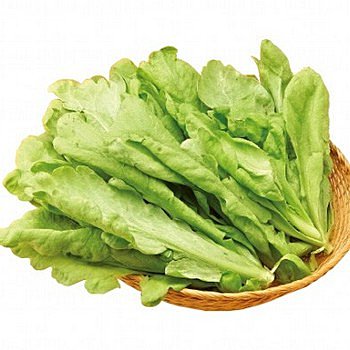 降压清血管的蔬菜  男女養生善食