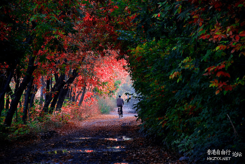   Photography 攝影特區