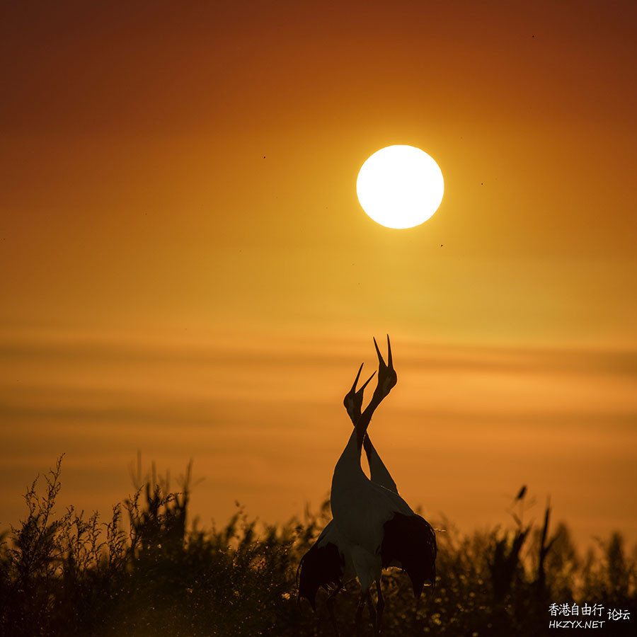   Sunset 夕陽