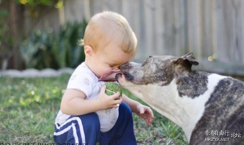 Dog : 我要 Kiss  Kiss 我要咀咀