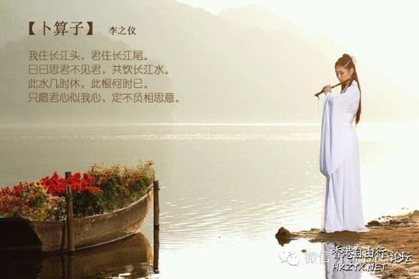 日日思君不見君，  文学欣賞