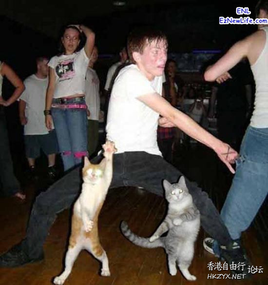   Pets 寵物護理 +紀念堂