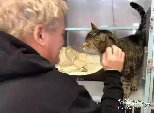 失蹤2年愛貓突然現眼前  Pets 寵物護理 +紀念堂