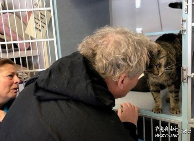 失蹤2年愛貓突然現眼前  Pets 寵物護理 +紀念堂