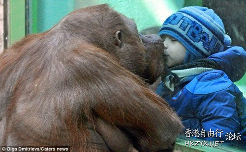   Kiss 我要咀咀