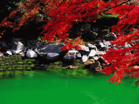    Landscape 山水湖林