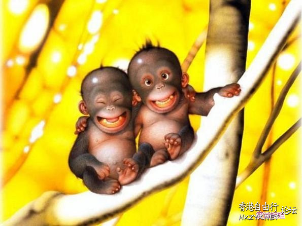 熊公：永遠咁愛您！  Pets 寵物護理 +紀念堂