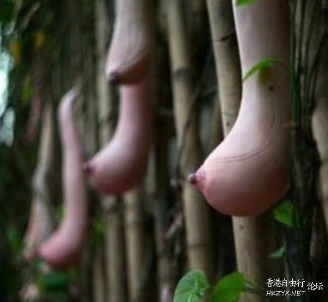   專題報導