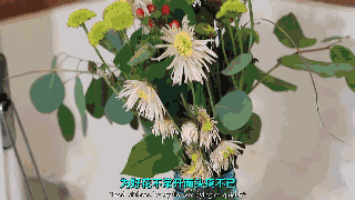 醋的妙用方法  男女養生善食