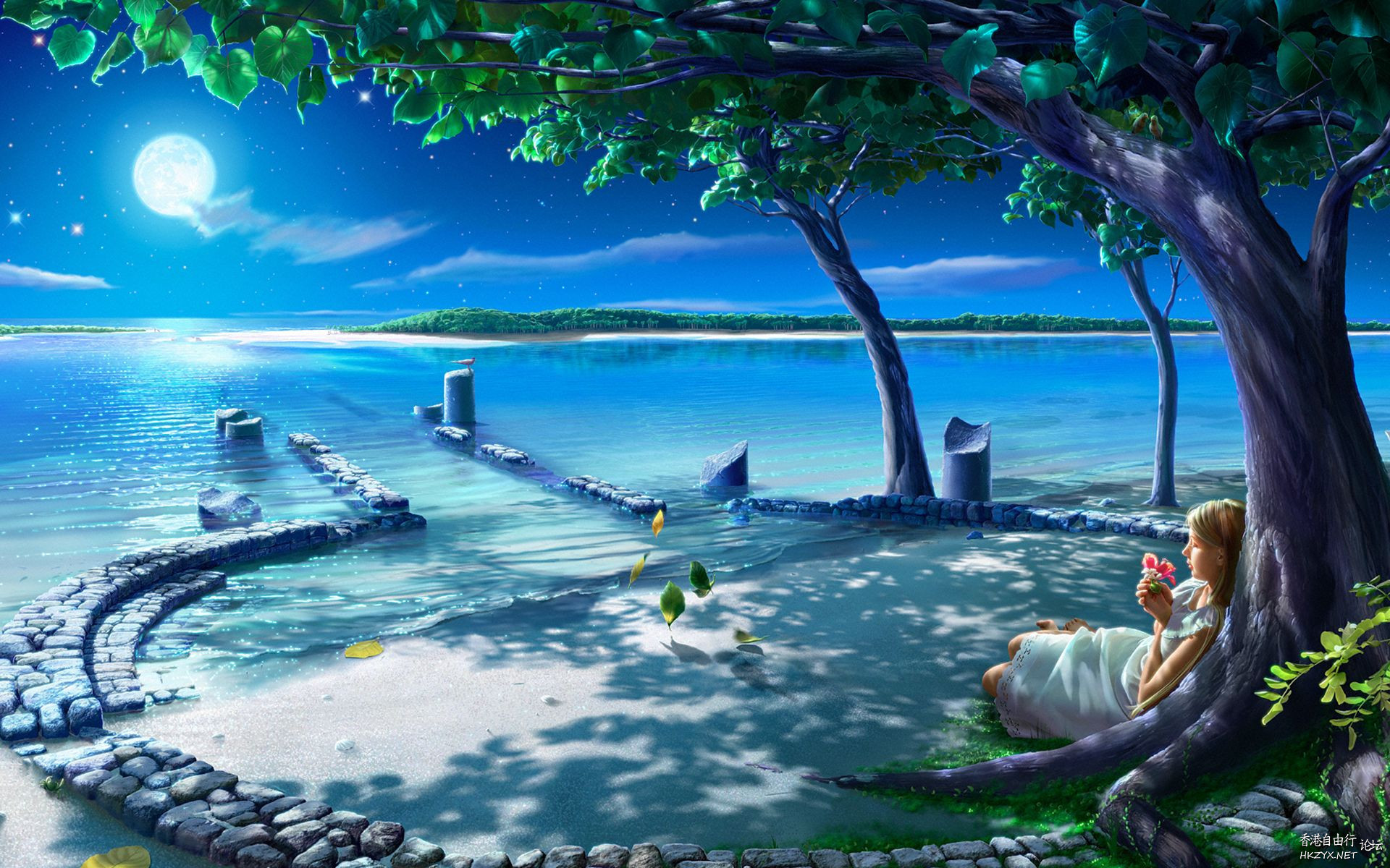   Wallpapers 壁紙图