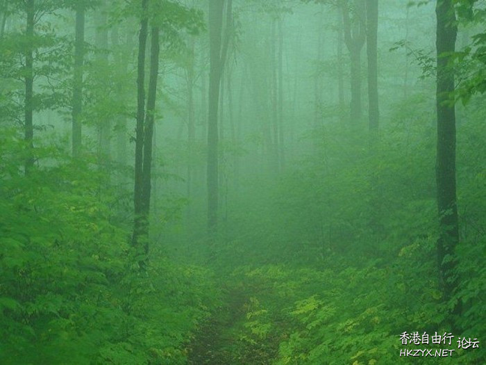   Wallpapers 壁紙图