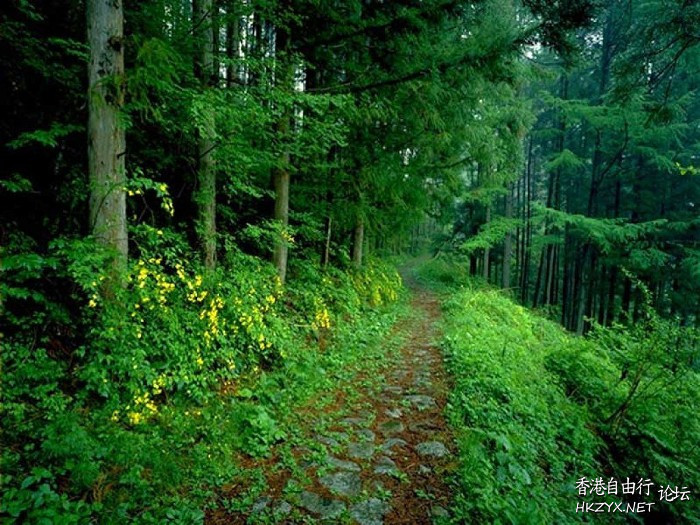   Wallpapers 壁紙图