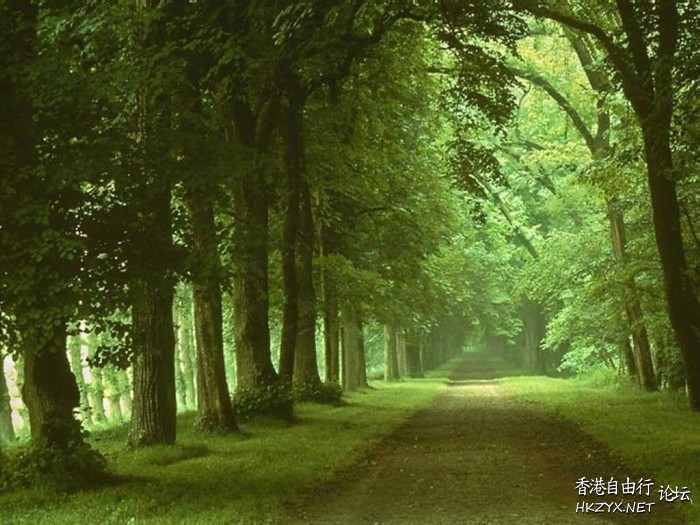   貼上 精華分享