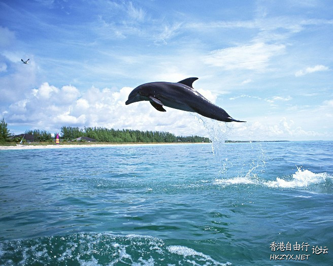 齊齊去“海底世界”一遊  World Travel 世界旅遊