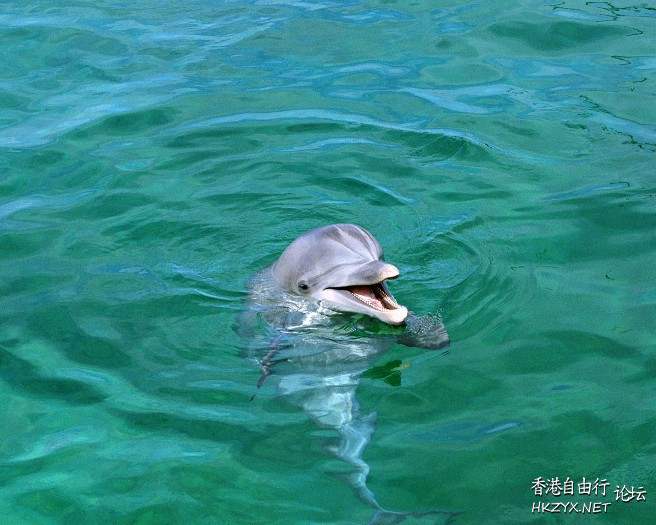 齊齊去“海底世界”一遊  World Travel 世界旅遊