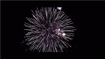 璀璨煙花  Fireworks 烟花