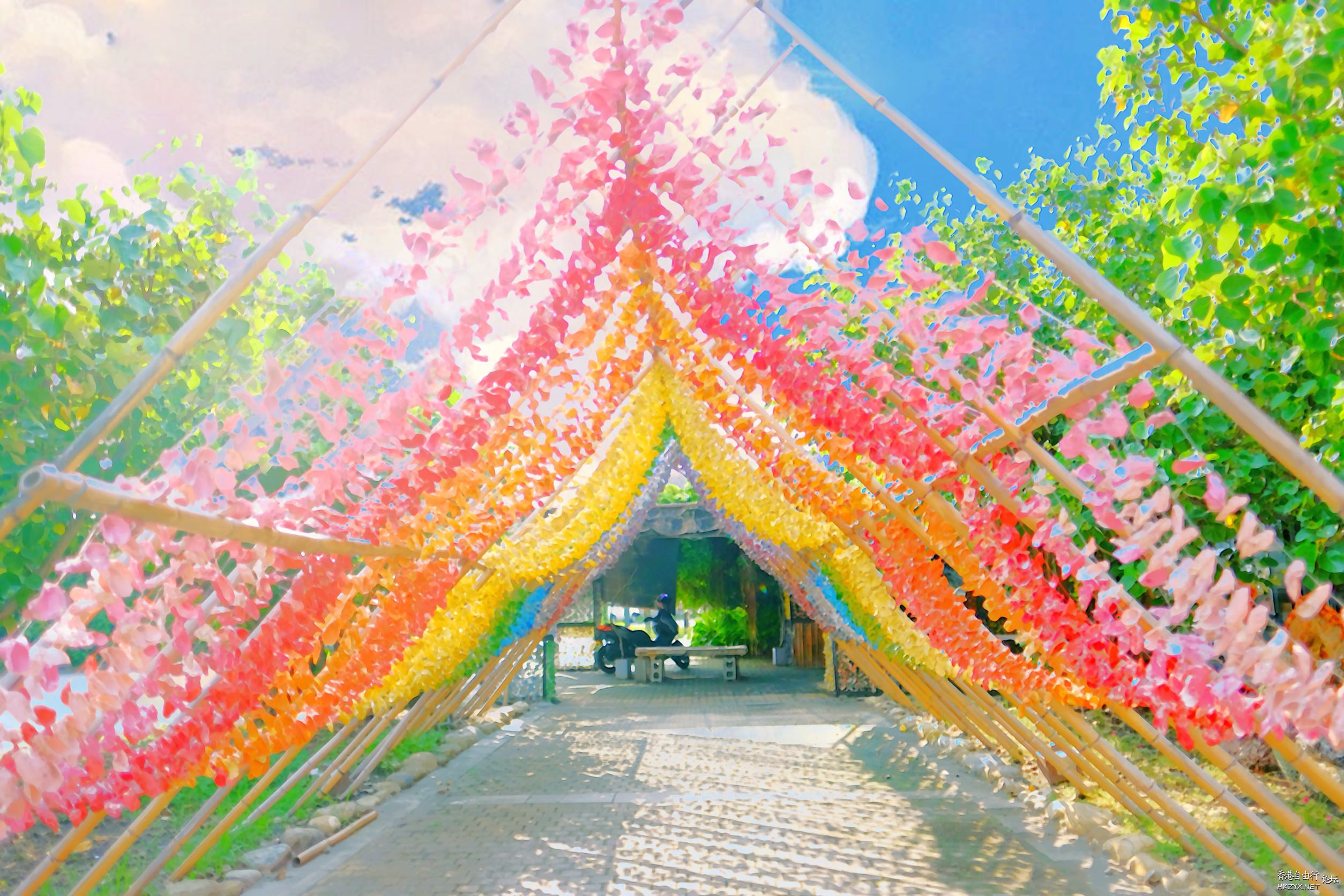 中山雲梯山立體花海  3D stereo broadcast 3D立体