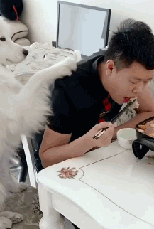 Dog artist makes a hit  Pets 寵物護理 +紀念堂