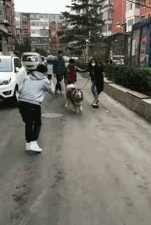   解悶園地