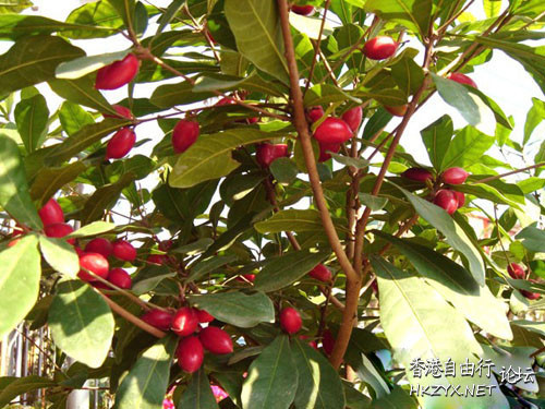 關閉悲觀開放樂觀  心理學研討+治療