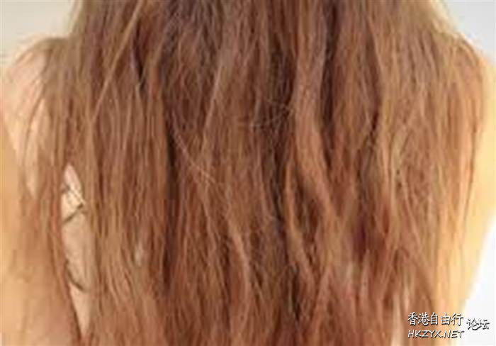掉髮是什麼原因導致的呢？   Hair Treat. 頭髮護理