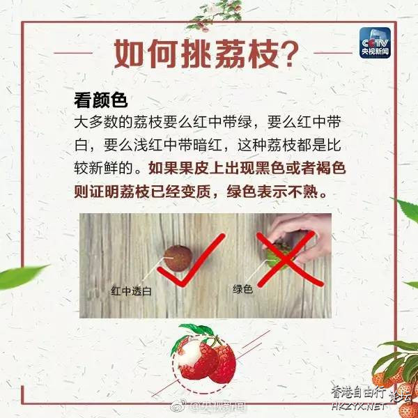 吃荔枝會暈倒？  中藥問症