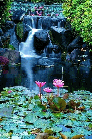   貼上 精華分享