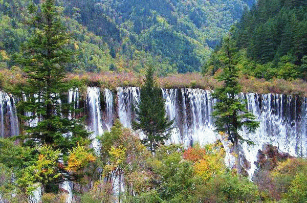   World Travel 世界旅遊