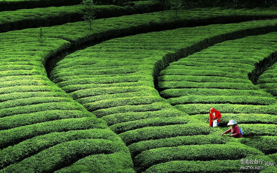    Landscape 山水湖林