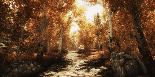 sunshine sky autumn 秋  3D stereo broadcast 3D立体