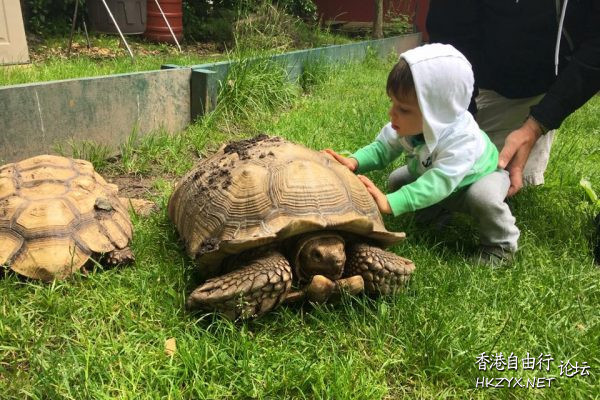   Pets 寵物護理 +紀念堂