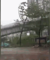 Super Typhoon  Mini movie.迷你電影室